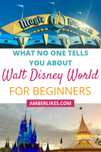 Walt Disney World: Just the Basics for Beginners - Amber Likes