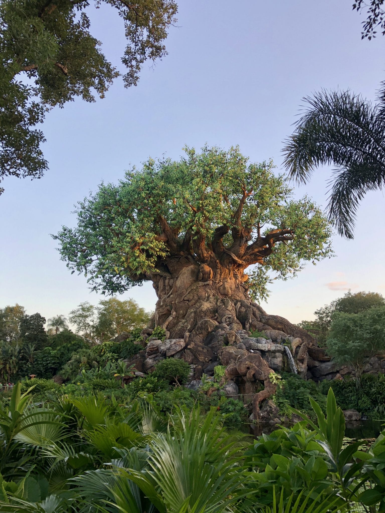 Animal Kingdom for First Timers: A Complete Guide - Amber Likes