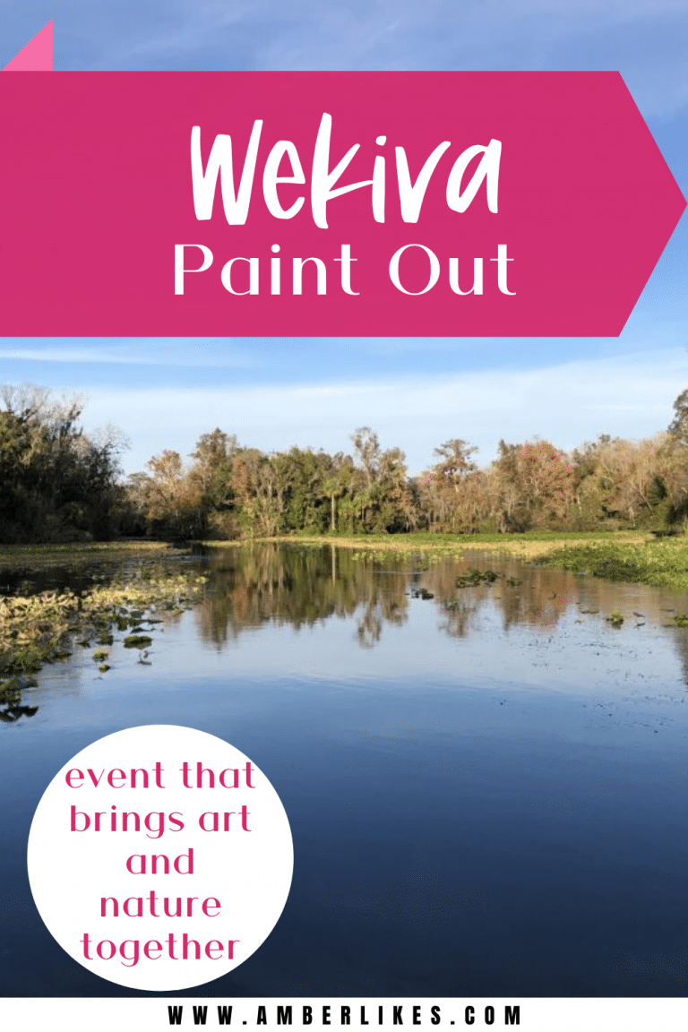 Wekiva Paint Out Brings Together Art and Nature Amber Likes