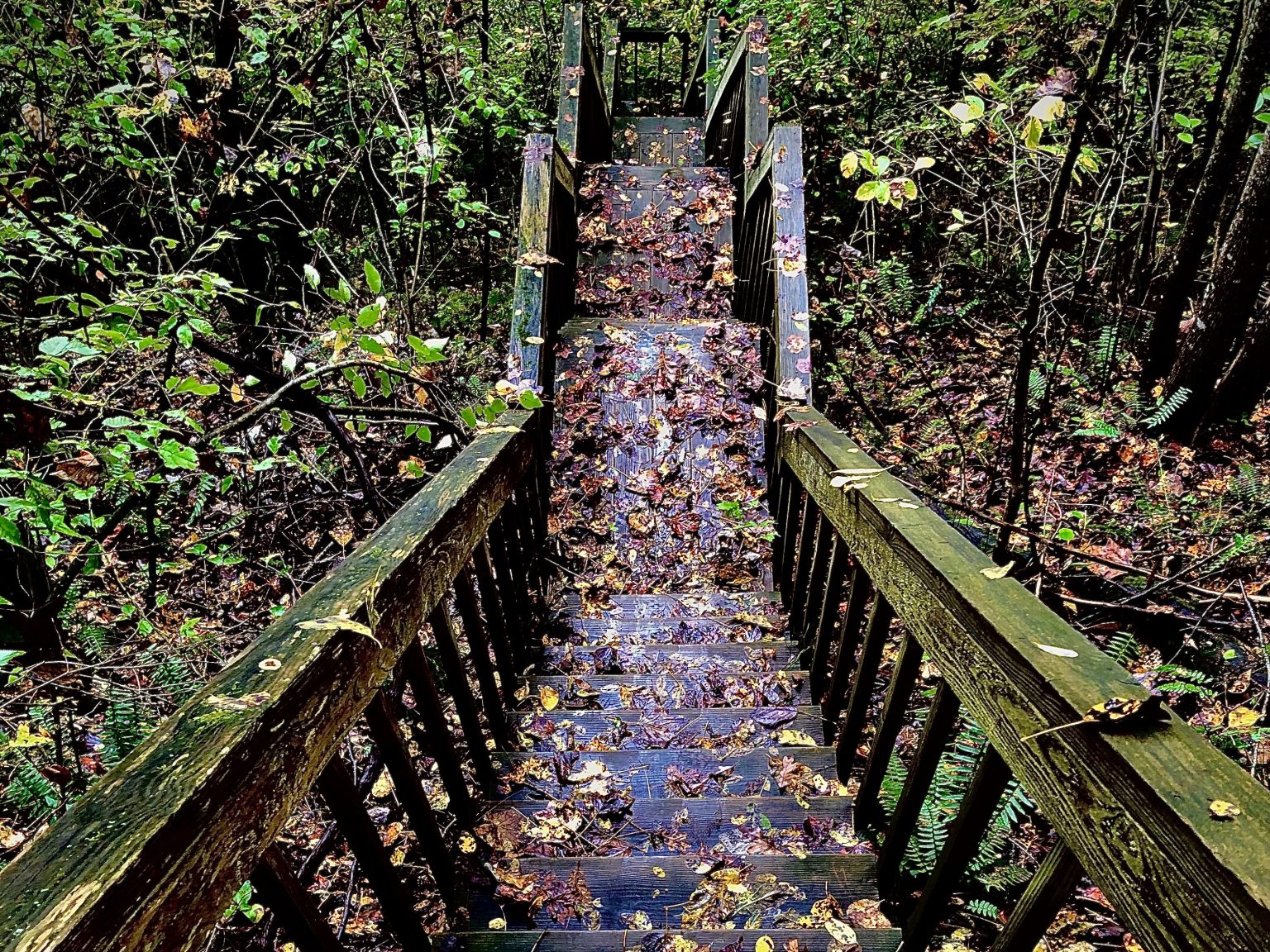 Blue Ridge Georgia Hiking: Find the Beauty in the Outdoors - Amber Likes