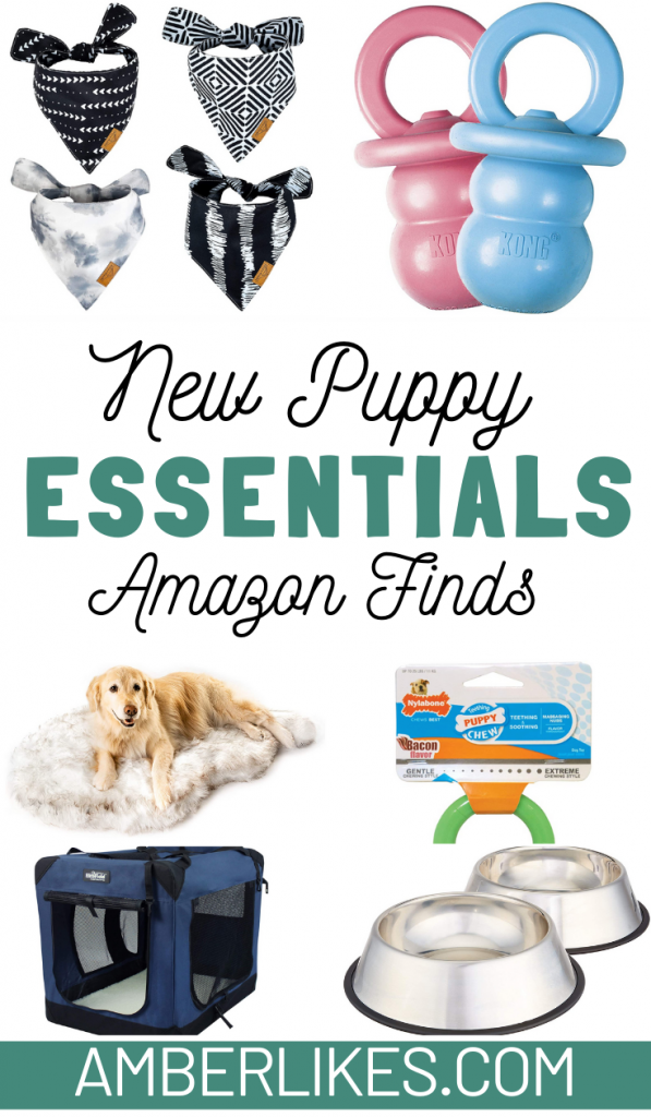 15 Must-Have Items for New Dog Owners, Dog Supplies List