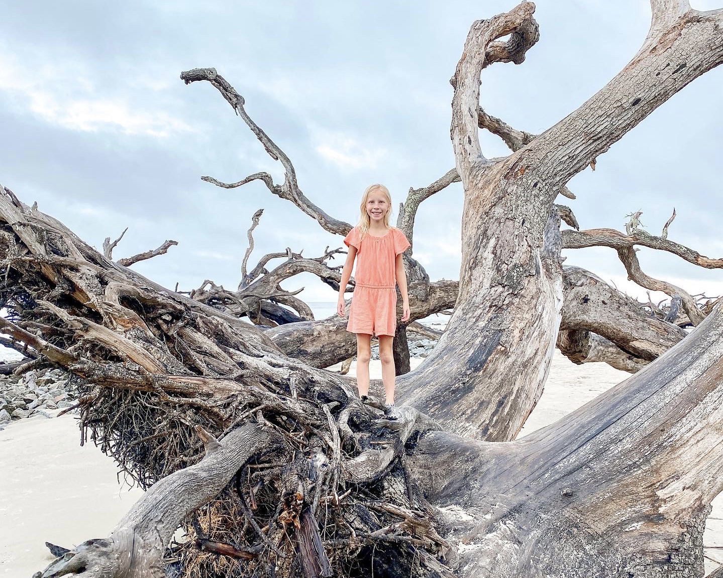 Jekyll Island Christmas Lights and Holiday Guide Amber Likes