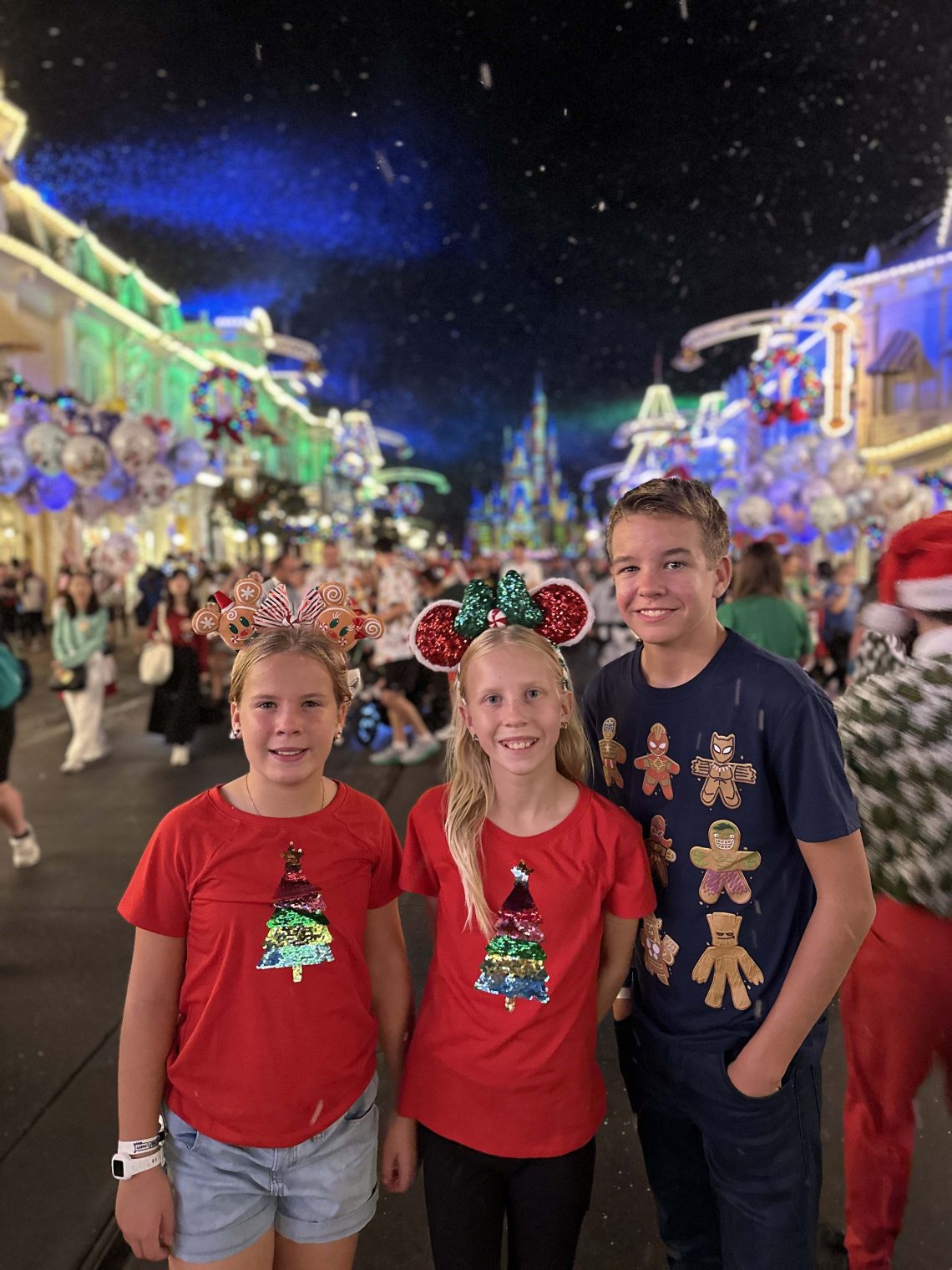 Is Mickey's Christmas Party Worth It and More Questions Answered