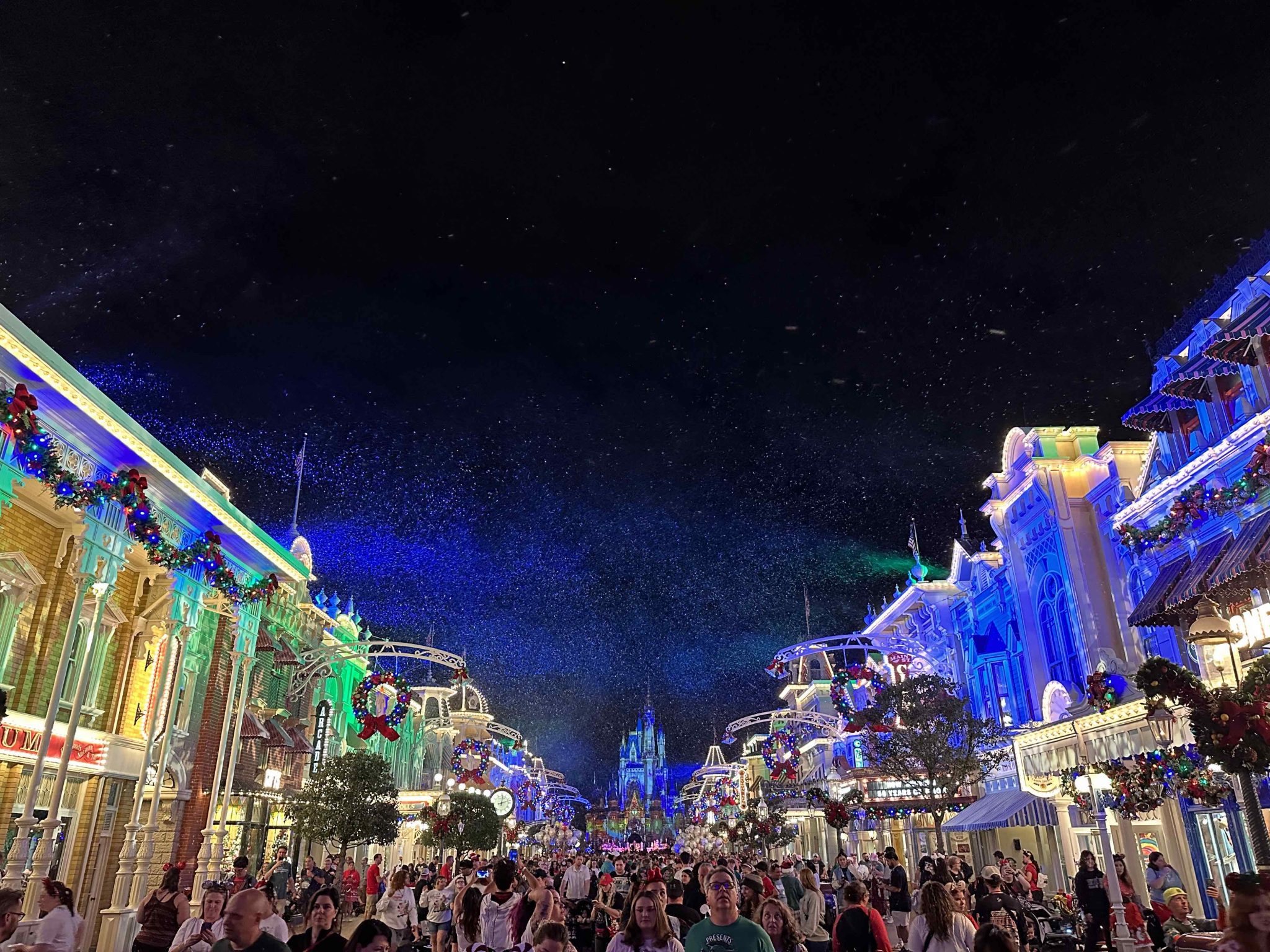 Is Mickey's Christmas Party Worth It and More Questions Answered